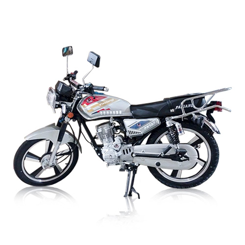 MOTOCICLETA MARCA PAXIANG MODELO PX125-PLATA